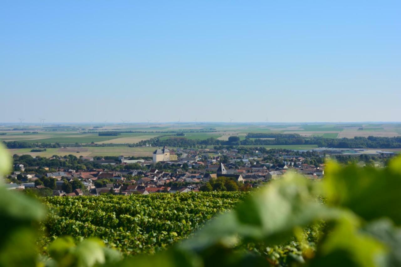 Demeure Saint Martin Bed & Breakfast Blancs-Coteaux Bagian luar foto